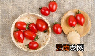阳台小番茄难种吗，为什么小番茄颇受阳台种菜者的青睐