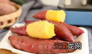 阳台种番薯叶的方法 室内种番薯叶