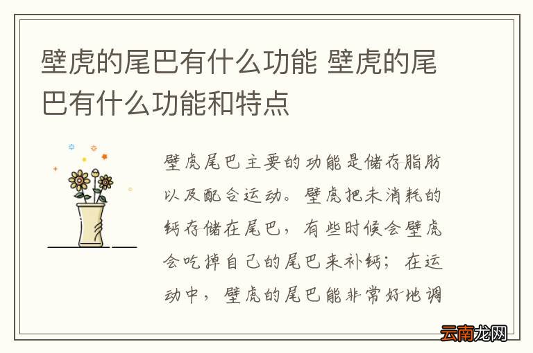 壁虎的尾巴有什么功能 壁虎的尾巴有什么功能和特点