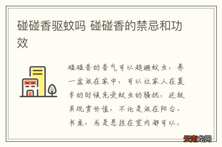 碰碰香驱蚊吗 碰碰香的禁忌和功效