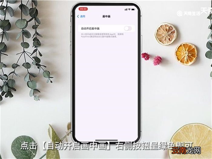 苹果手机怎么分屏窗口 苹果手机如何分屏窗口