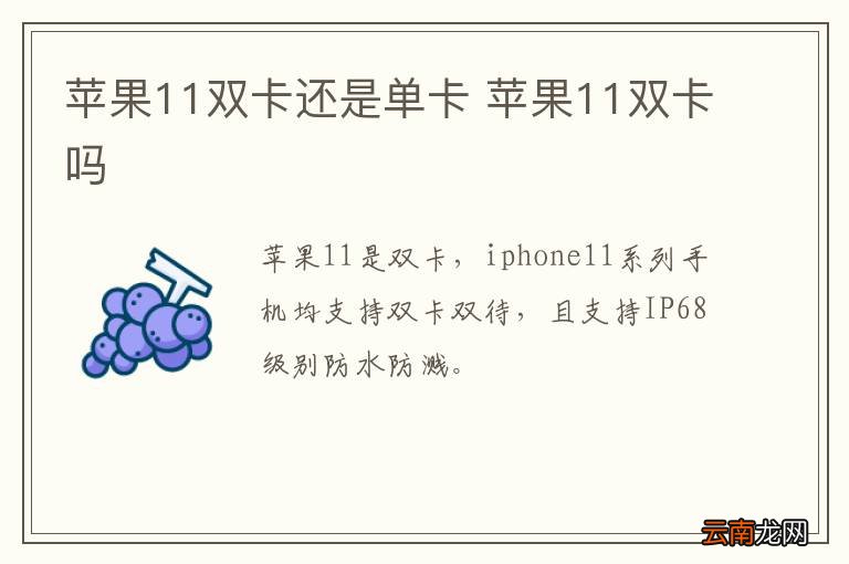 苹果11双卡还是单卡 苹果11双卡吗