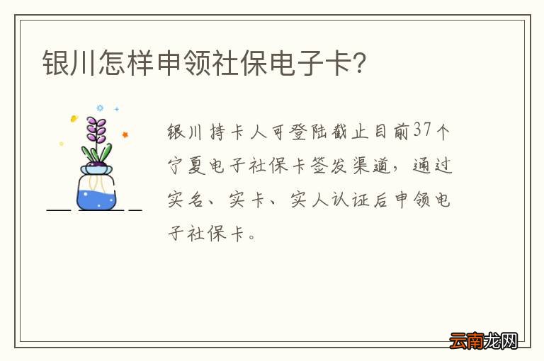 银川怎样申领社保电子卡？