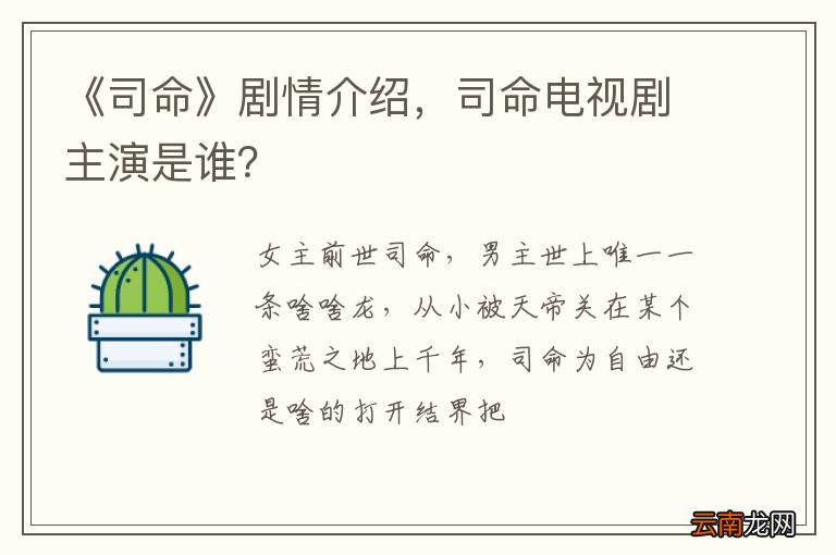 《司命》剧情介绍，司命电视剧主演是谁？