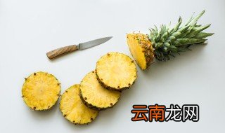 菠萝根水培的方法土里 菠萝根水培的方法