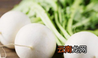萝卜盆栽水培方法 萝卜水培种植方法