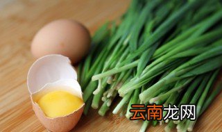 韭菜水培种植方法 韭菜水培种植方法视频