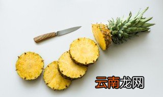 菠萝水培泡根方法，菠萝根水培会长菠萝吗