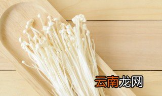 室内种金针菇 阳台种金针菇盆栽