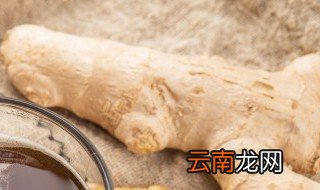 阳台上种姜好吗 阳台可以种生姜吗