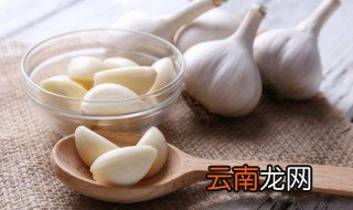 大蒜水培方法图解视频 大蒜水培方法