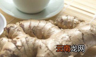 水培生姜的种植方法 生姜怎么水培种植