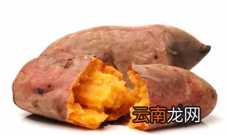水培红薯的方法视频 水培红薯的方法