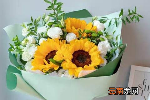 向日葵配白玫瑰的花语