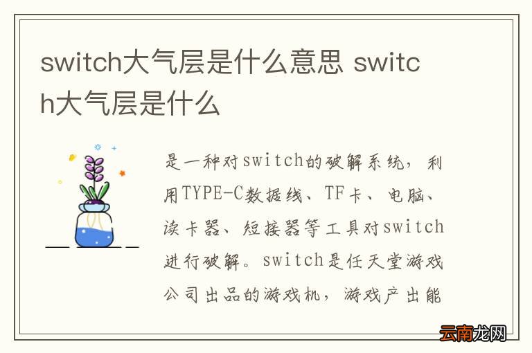 switch大气层是什么意思 switch大气层是什么