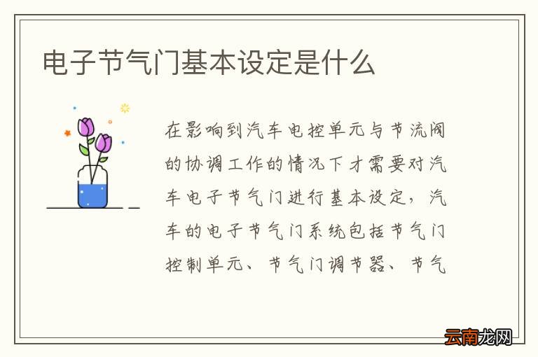 电子节气门基本设定是什么