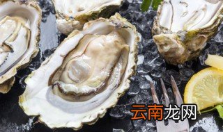 生蚝怎么晒成干 生蚝怎么晒干