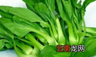 晒干的小青菜怎么做好吃 小青菜怎么晒干