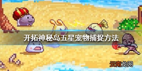 开拓神秘岛五星宠物怎么抓 5星宠物捕捉方法