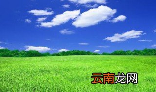 草地在环境保护中具有什么的重要作用 草地在环境保护中起的作用