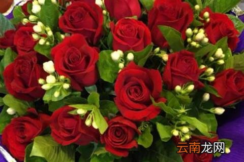32朵玫瑰代表什么意思
