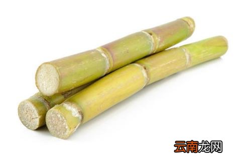 甘蔗象征寓意