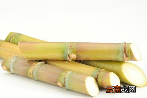 甘蔗象征寓意