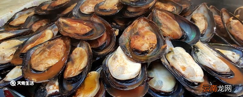 扇贝怎么洗 清洗扇贝的方法