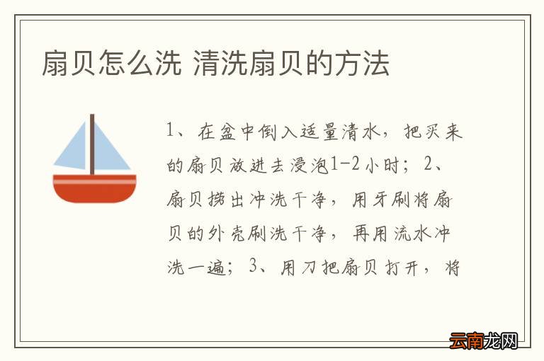 扇贝怎么洗 清洗扇贝的方法