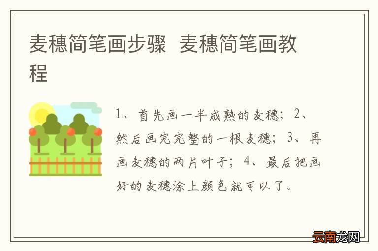 麦穗简笔画步骤麦穗简笔画教程