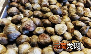 花蛤沸水煮多久 花蛤水开煮几分钟熟