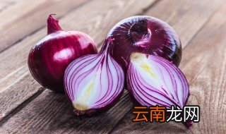 洋葱水培方法如下 洋葱水培方法教程