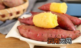 地瓜盆栽水培的方法 地瓜怎样水培