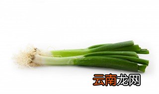 葱怎么水培种植方法 葱的水培种植方法
