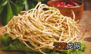鱼腥草怎么水培 鱼腥草的水培方法
