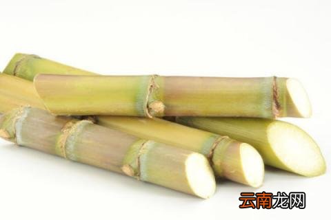 甘蔗寓意
