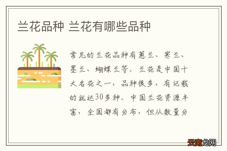 兰花品种 兰花有哪些品种