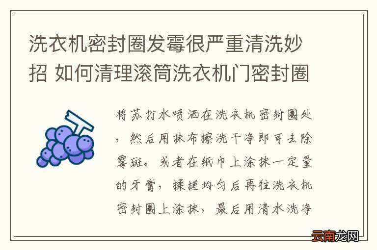 洗衣机密封圈发霉很严重清洗妙招 如何清理滚筒洗衣机门密封圈上的霉斑