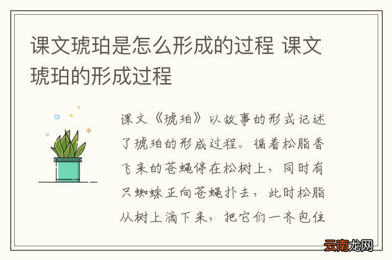 课文琥珀是怎么形成的过程 课文琥珀的形成过程