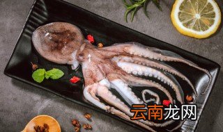 八带煮多久才熟 八带煮几分钟熟
