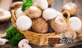 海鲜菇可以放冰箱几天 海鲜菇放冰箱能放几天