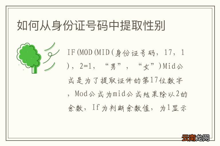 如何从身份证号码中提取性别