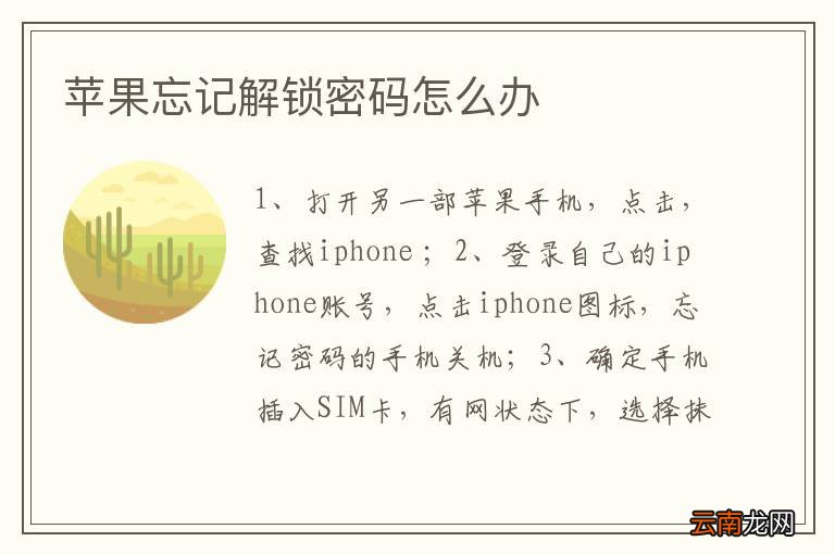苹果忘记解锁密码怎么办