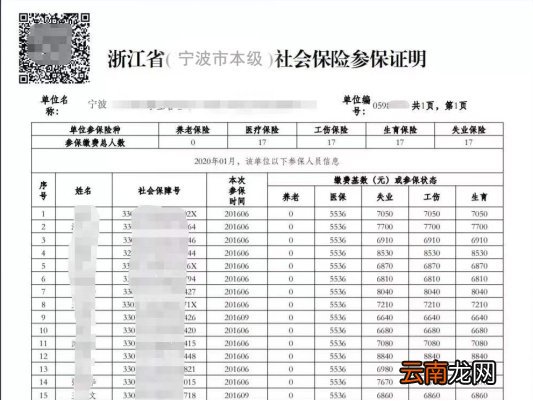 入口+方式 宁波参保单位社保查询打印指南