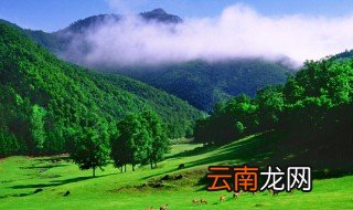 伊春在哪里 伊春介绍