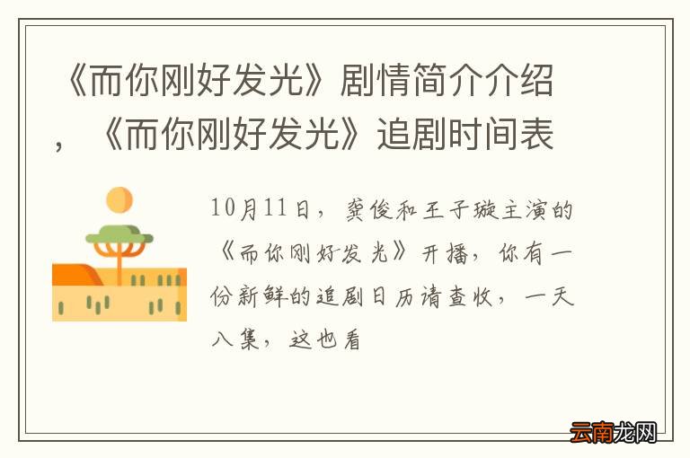 《而你刚好发光》剧情简介介绍，《而你刚好发光》追剧时间表