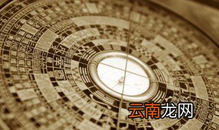 大象放家里有什么意义，大象放家里好吗