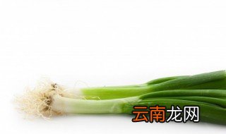 水培大葱的方法 家里水培大葱的方法