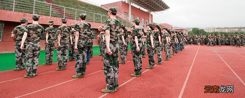 队列训练七个内容 队列训练的七个内容是什么