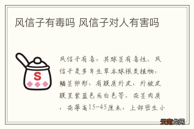 风信子有毒吗 风信子对人有害吗